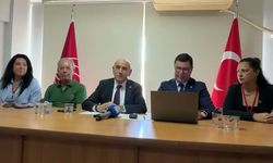 CHP'li Kaya: "Cumhuriyet demokrasiyle taçlandırılırsa tek adam rejimine 'dur' diyebiliriz"