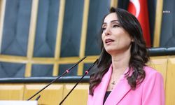 DEM Parti Eş Genel Başkanı Hatimoğulları: Alın terinin peşine düşenler yargılanıyor