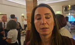 DEM Parti'den "Çerçeve Yasa" için ilk değerlendirme: MGK raporunu bir an önce hazırlamalı