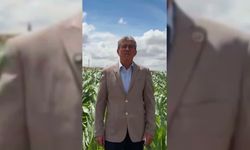 Gökhan Günaydın'dan TMO'ya "nohut alımı" için çağrı: Çiftçiyi tatmin edecek fiyatla derhal alıma başlayın