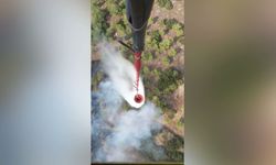 Manisa’da korkutan orman yangını