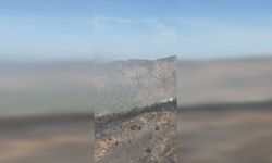 Marmaris Aksaz'daki orman yangını kontrol altına alındı