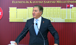 Murat Emir'den Manisa İl Başkanı İlksen Özalper'in gözaltına alınmasına tepki