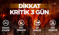 Orman yangını uyarısı: Önümüzdeki 3 gün kritik