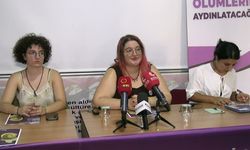 Rojin Kabaiş'in ailesinin avukatı Karabulut: Hakikatin bugüne kadar etkin araştırılmadığı görülmektedir