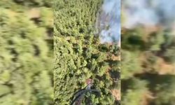 Susurluk'taki orman yangınına müdahale sürüyor