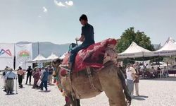 Toroslar'da binlerce kişi Yörük Etkinliği'nde buluştu