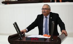 YENi Partili Bülbül: Bir tek sandık kaldı elimizde, o sandığı size vermeyiz