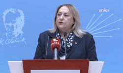 CHP Kadın Kolları Genel Başkanı Gülsever’den iktidara 'İstanbul Sözleşmesi' çağrısı