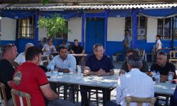 Başkan Ergin yangın bölgesinde incelemelerde bulundu
