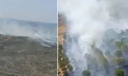 Balıkesir’de orman yangını: Alevlere havadan ve karadan müdahale