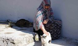 10 yıllık dostuna gözyaşlarıyla veda etti!