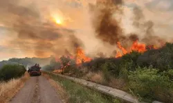 Çanakkale'de 3 gün biçerdöver ve balya makinesi kullanımı yasaklandı