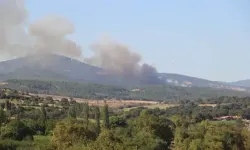 Çanakkale’de alevler yükseldi: Orman yangınına havadan ve karadan müdahale