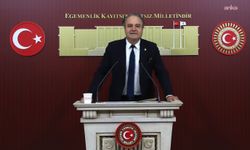 EMEP'li Bayhan'dan 'çerçeve yasa' eleştirisi: Kalıcı barış için yetersiz!