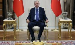 'Çerçeve yasa'da 'mutlak yetki' Erdoğan'da eleştirisi
