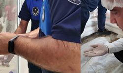 Fare yuvaları ve paslı keser: Hatay’daki fırın mühürlendi