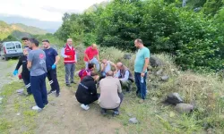 Giresun'da sağanak sele dönüştü: 3 kişi hayatını kaybetti