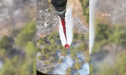 Muğla'da ziraat alanında başlayan yangın ormana sıçradı!
