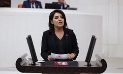 CHP'li Gülcan Kış: Vatandaş geleceğini değil, kredi kartı son ödeme tarihini hesaplıyor