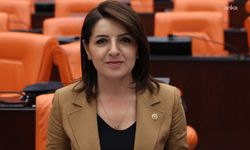 CHP'li Gülcan Kış: Asgari ücretlinin cebinden 7 ayda 5 bin 575 lira buhar oldu