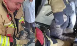 Motor kısmına sıkıştı, itfaiyeyi 1 saat uğraştırdı: Minik kedi kurtarıldı!