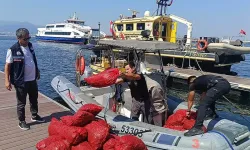 İzmir’de kaçak midye operasyonu: 560 kilo kara midyeye el konuldu