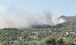 Ödemiş’te orman alarmı: Alevlere havadan ve karadan müdahale