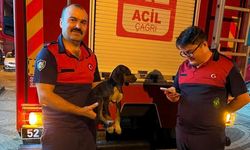 Depoda mahsur kalan köpek için itfaiye seferber oldu!