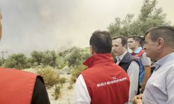 Muğla Büyükşehir yangın sonrası sahada: Hasar tespit çalışmaları başladı