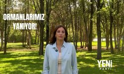 YENİ Partili Rızvanoğlu'ndan av ihalelerine tepki: Tek bir silah atışı bile yangın riski!