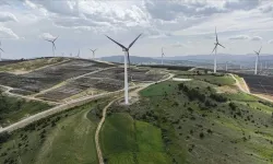 Danıştay iptal etti, projede dikkat çeken ayrıntı: Türbinler yerinde kaldı, bitkiler taşındı