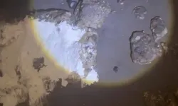Samsun sahilinde gizemli çuvallar paniğe neden oldu: İçinden ne çıktı?