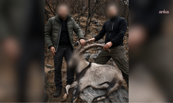 Siirt'te 5 yaban keçisini avlayanlara 6 yıl sonra ceza!