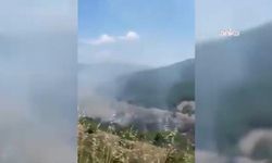 Sinop'taki orman yangınında 10 hektarlık alan zarar gördü!