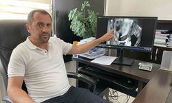 Sosyal medyada linç edilmişti; otobüsteki tartışmada kamera kayıtları farklı tablo ortaya koydu!