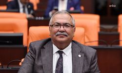 YENİ Partili Bülbül'den Çine yangını için soru önergesi: Afet bölgesi ilan edilecek mi?
