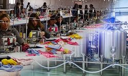 ÇED raporlarındaki skandal pes dedirtti! Tekirdağ’daki projeye Bursa tarifesi...