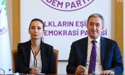 Hatimoğulları'ndan "çerçeve yasa" mesajı: Demokratikleşmenin kök yasası olmalı