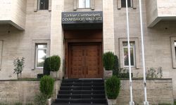 Diyarbakır’da 3 yaşındaki çocuğun kuduz testi pozitif çıktı: Valilikten filyasyon ve temaslı taraması