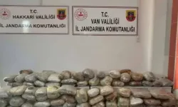 Hakkari ve Samsun’da uyuşturucu operasyonu: 265 kilo skunk ele geçirildi