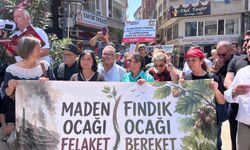 Fındık yürüyüşü: Hükümetle Fiskobirlik arasında yaşanan kavga üreticiye zarar verdi
