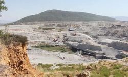 Yatağan’daki ÇED dosyasından orman katliamı çıktı