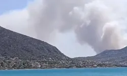 Komşudaki orman yangınında 2 kişi hayatını kaybetti