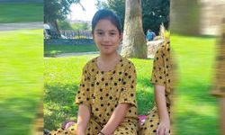 Ablasını aramaya çıkıp kaybolan 13 yaşındaki çocuk, üç gün sonra konsoloslukta bulundu!