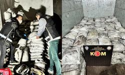 Bartın'da evin deposunda yakalandı: Piyasa değeri 40 milyon TL!