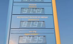 Mazota 6,62 liralık zam: Çiftçiden tepki 'Bunun sonu uçurum'