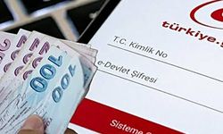 Fon yatırımcılarını ilgilendiriyor: E-Devlet’te bu kod varsa öncelik var