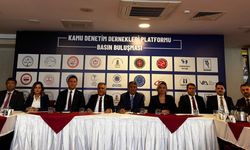 Kamu denetim elemanlarından özlük hakları için çağrı!