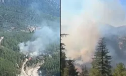 Adana’da peş peşe orman yangınları! Feke’de 2, Karaisalı’da 1 bölge alevlere teslim